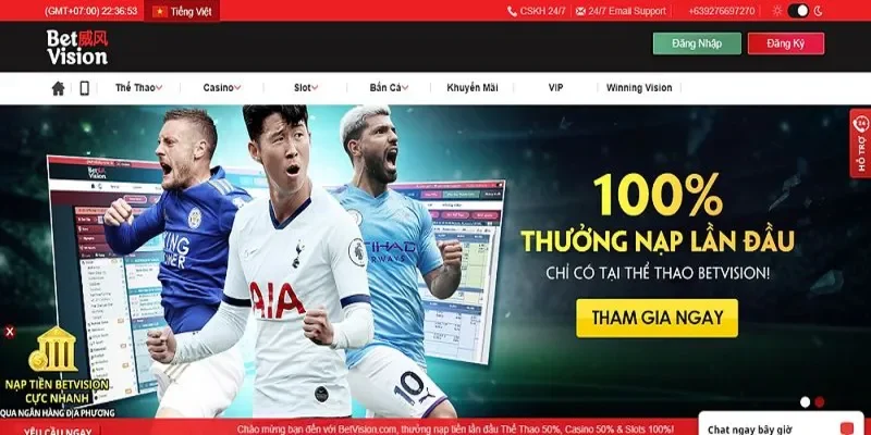 Tìm hiểu đôi nét về nhà cái Betvision