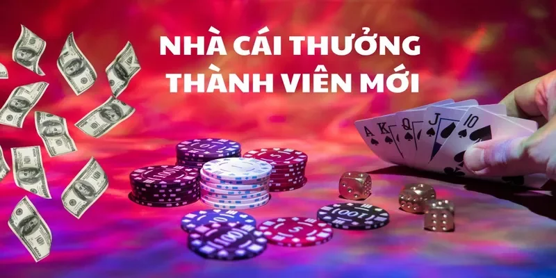 Tìm hiểu về các chương trình Khuyến mãi Betvision